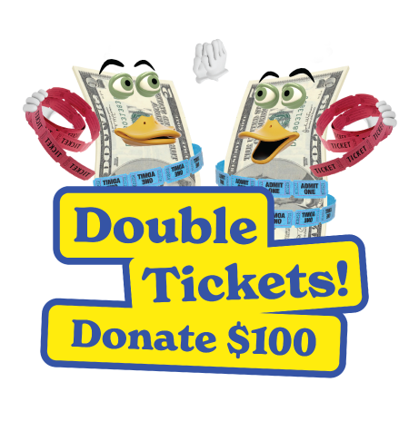 Double your Tickets! Donate $100